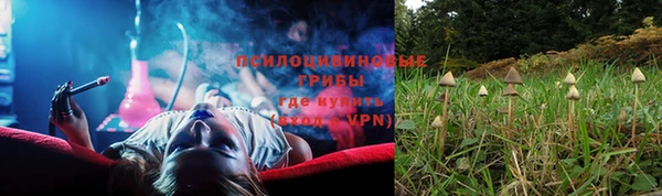 мдпв Нефтегорск