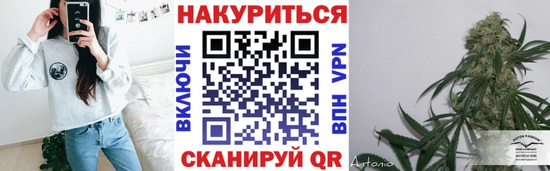 как найти закладки  Брюховецкая  Конопля планчик 